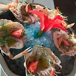 Coral &