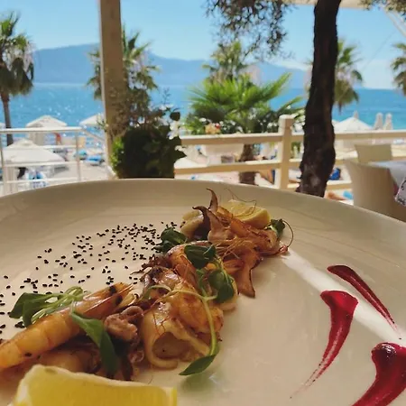 Ξενοδοχείο Coral Hotel & Resort