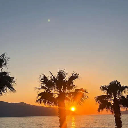 Ξενοδοχείο Coral Hotel & Resort 4*